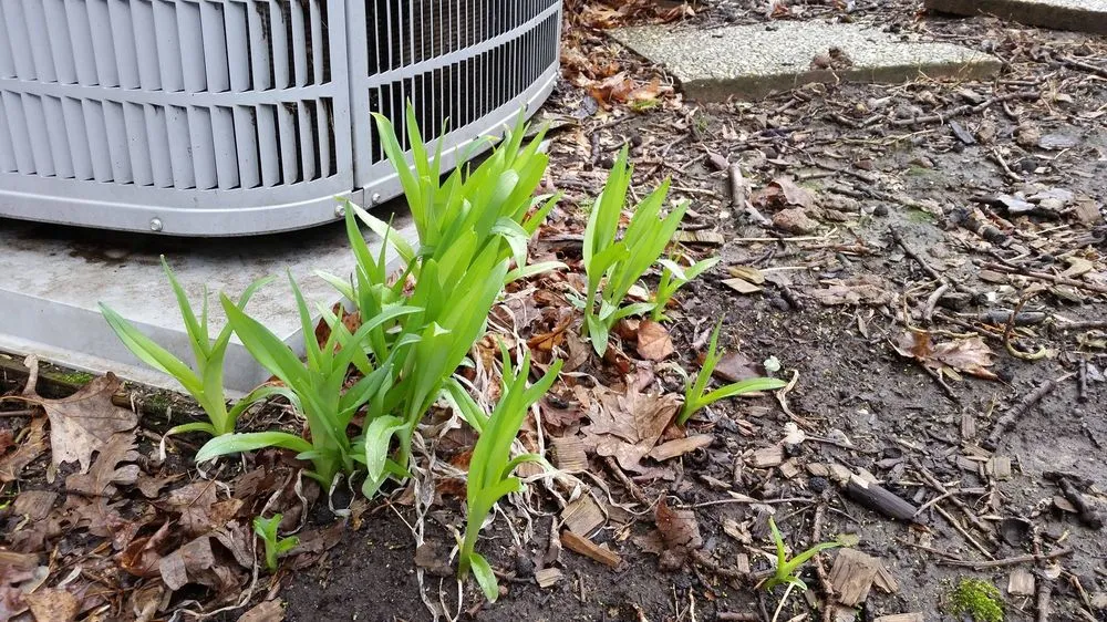 Slide of Action Heating & Air Conditioning