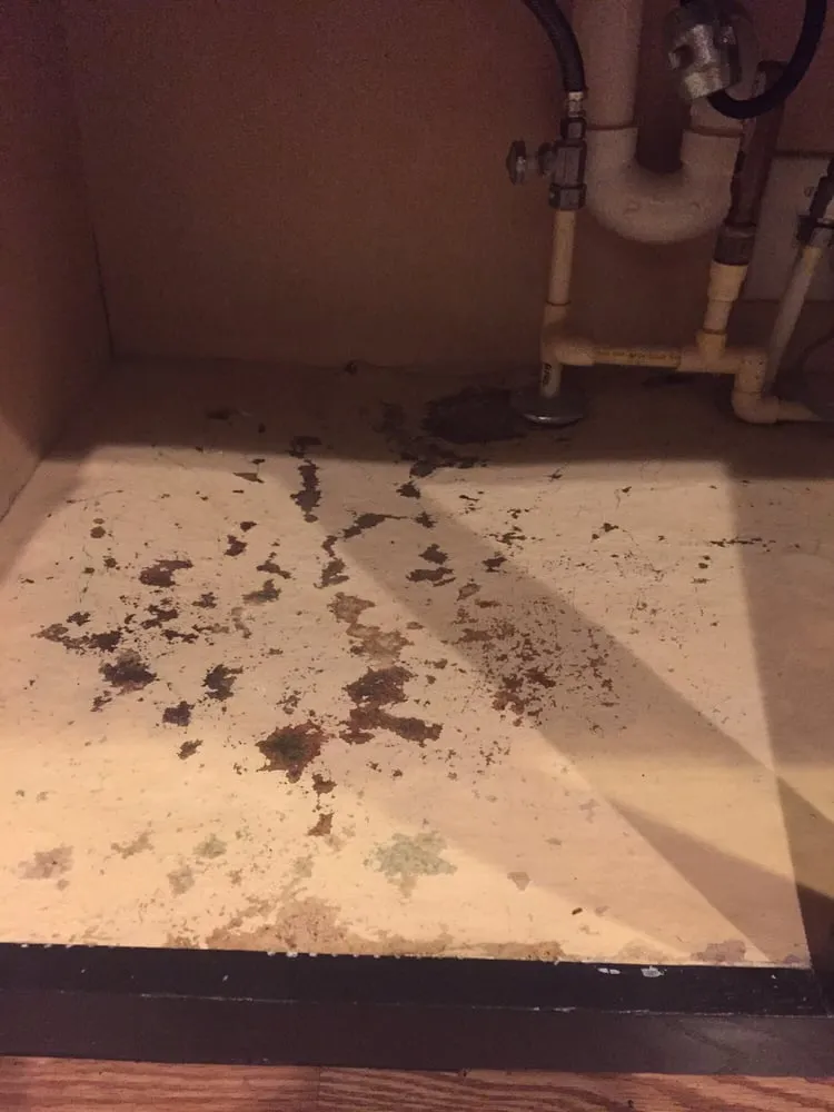 Slide of Action Plumbing Heating Air Conditioning and Electric