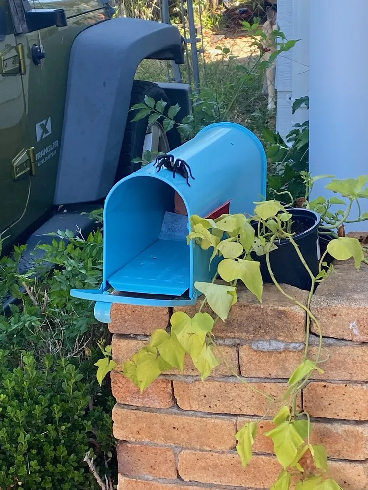 Slide of Acton Mechanical