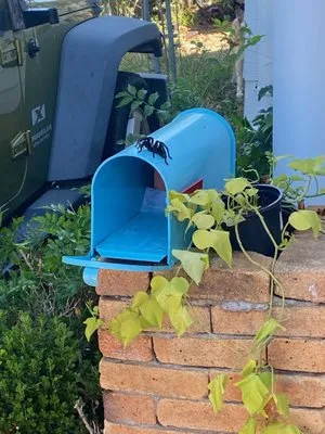 Acton Mechanical Logo