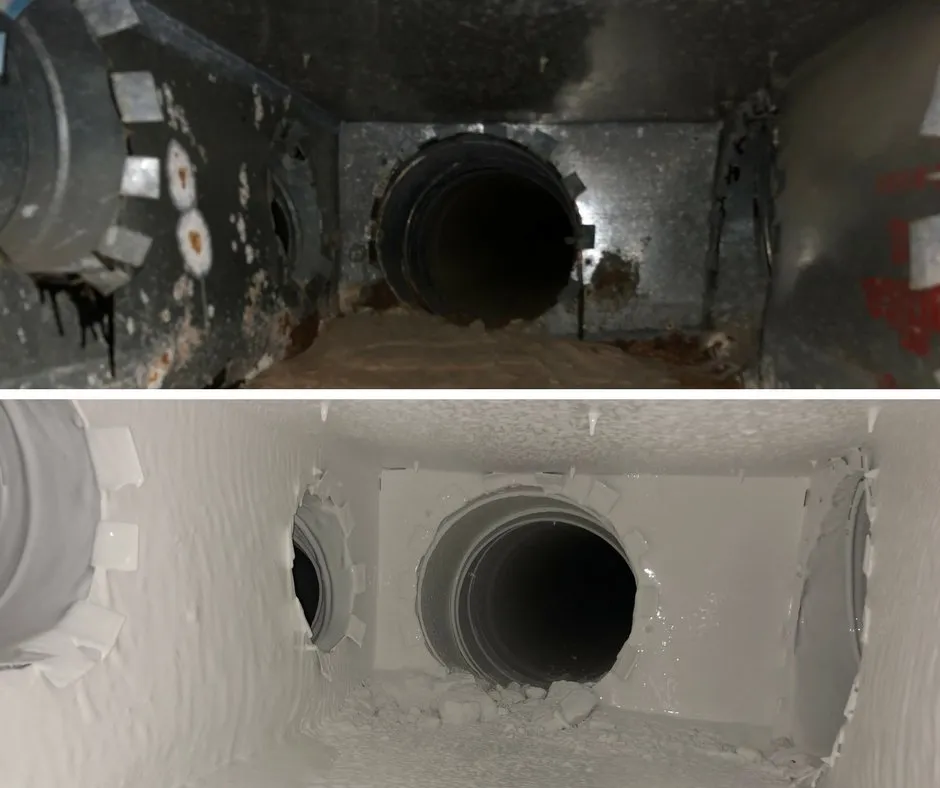 Slide of Adam's Air Care