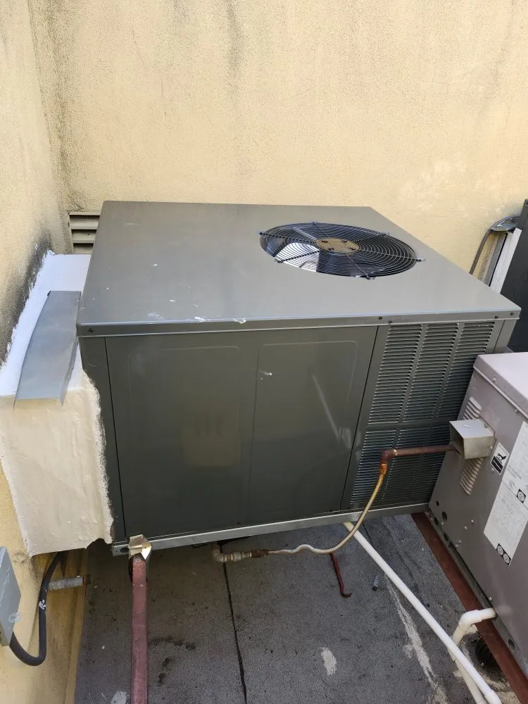 Slide of Adolfo Insulation