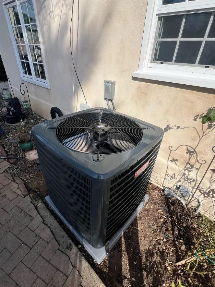 Slide of Adolfo Insulation