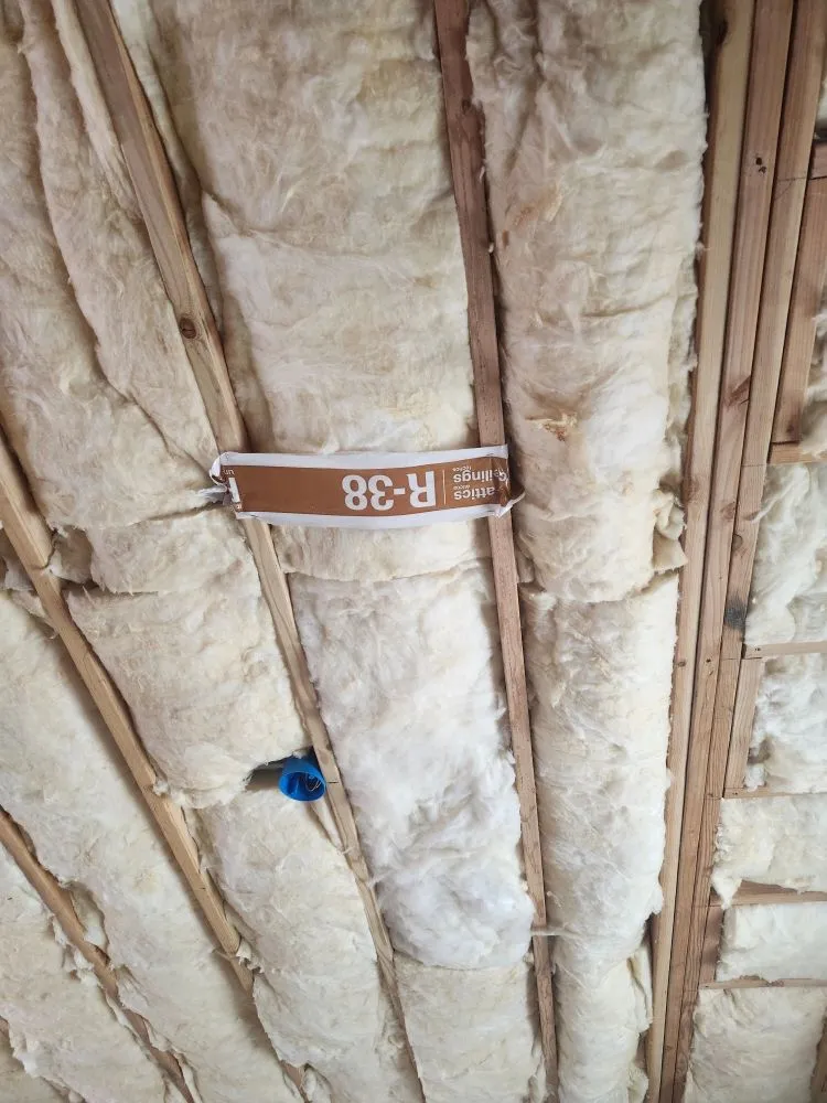 Slide of Adolfo Insulation