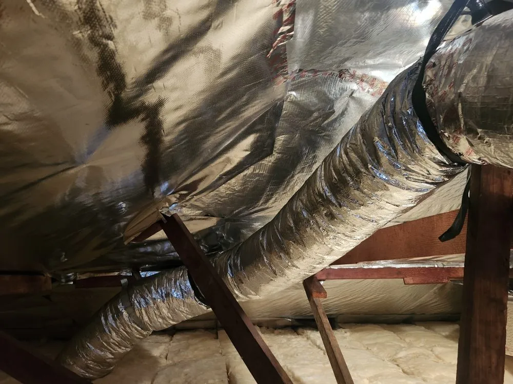 Slide of Adolfo Insulation