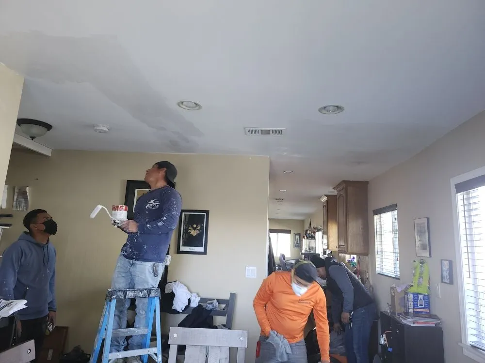 Slide of Adolfo Insulation