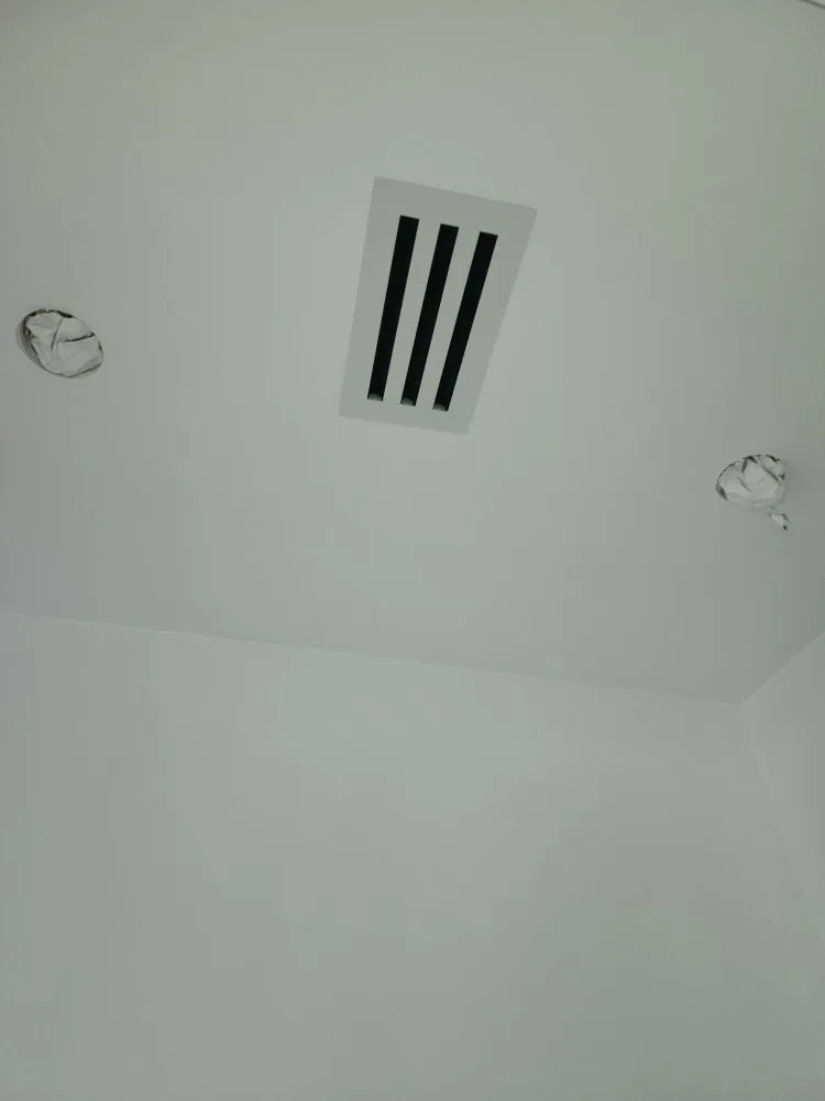 Slide of Adolfo Insulation