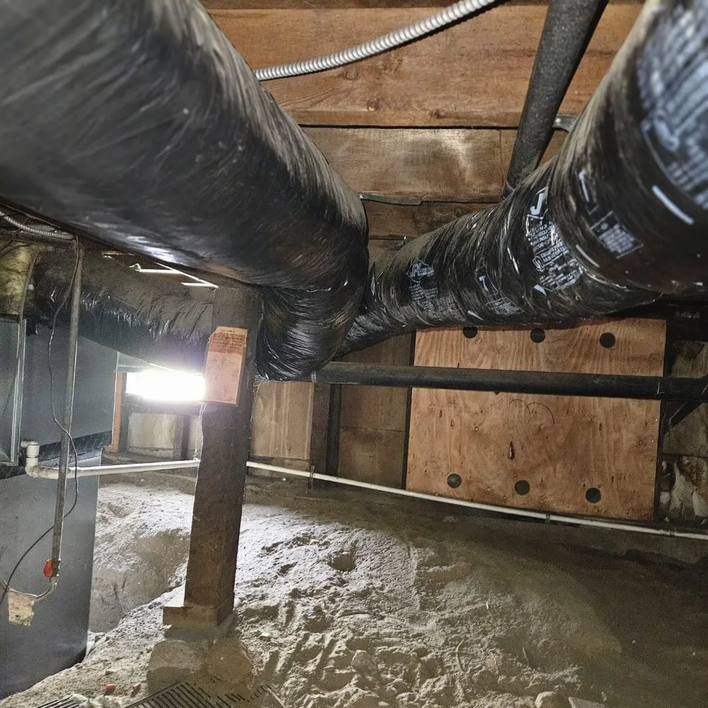 Slide of Adolfo Insulation