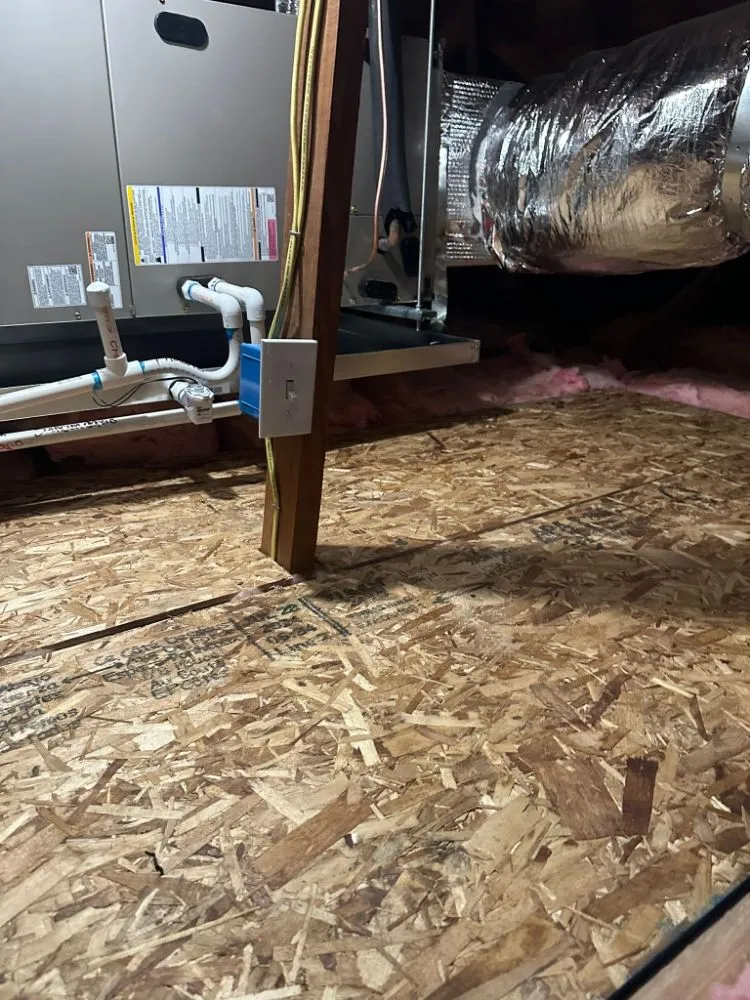 Slide of Adolfo Insulation