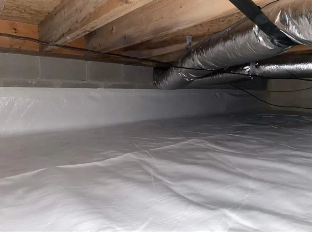 Slide of Adolfo Insulation