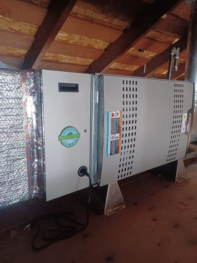 Slide of Adolfo Insulation