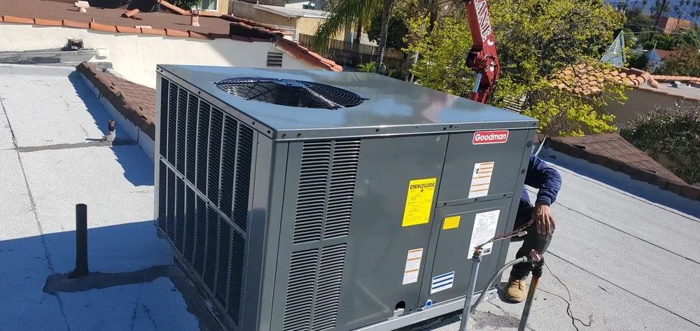 Slide of Adolfo Insulation