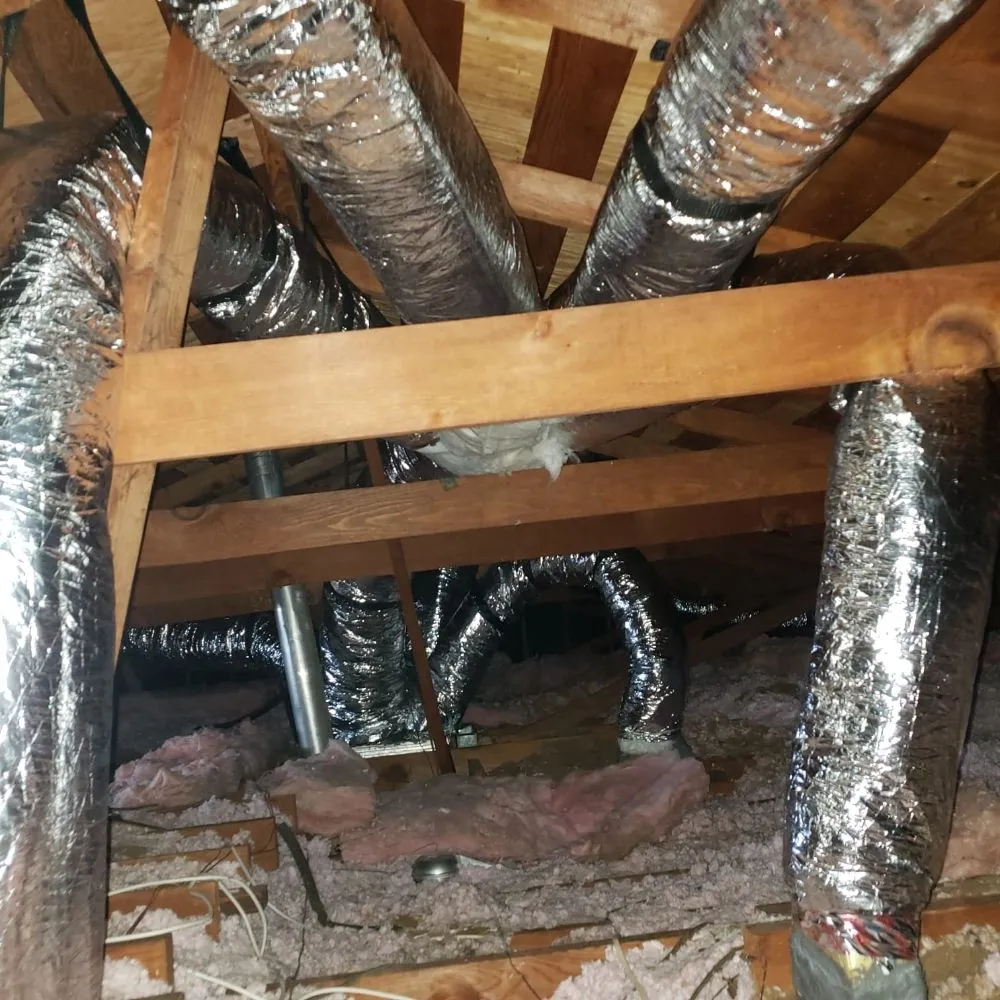 Slide of Adolfo Insulation