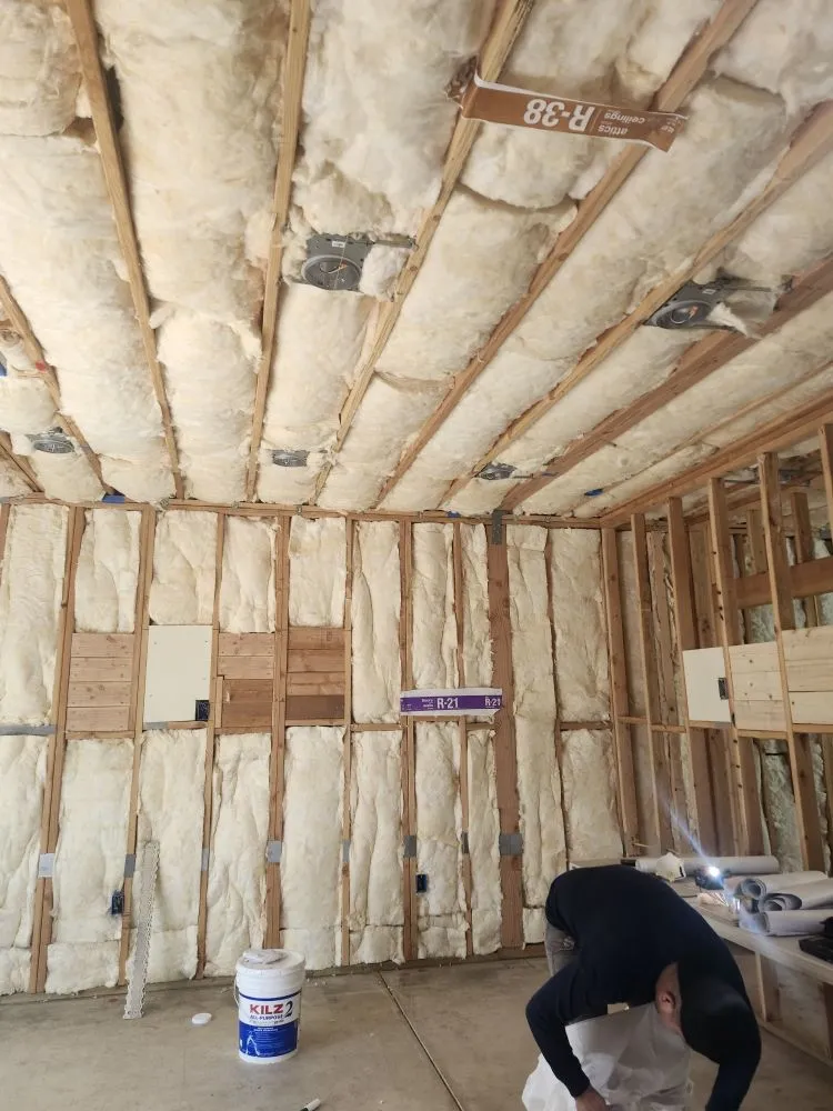 Slide of Adolfo Insulation