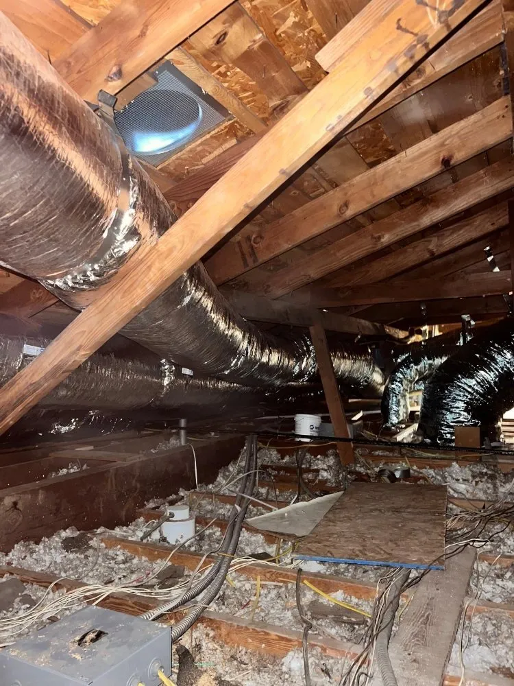 Slide of Adolfo Insulation