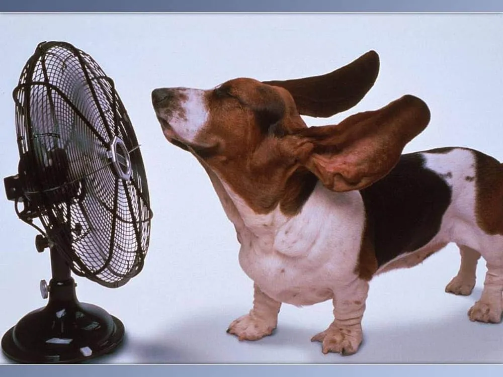 Slide of Advanced Air Conditioning and Heat