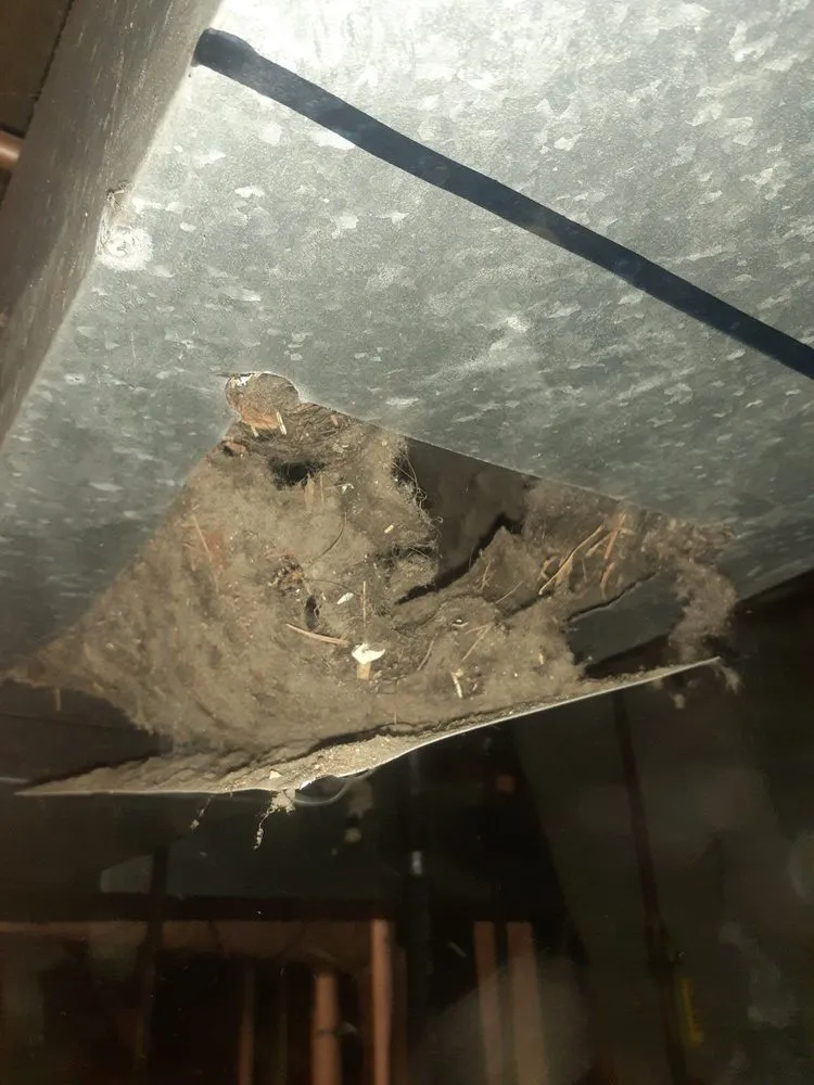 Slide of Advanced Air Quality