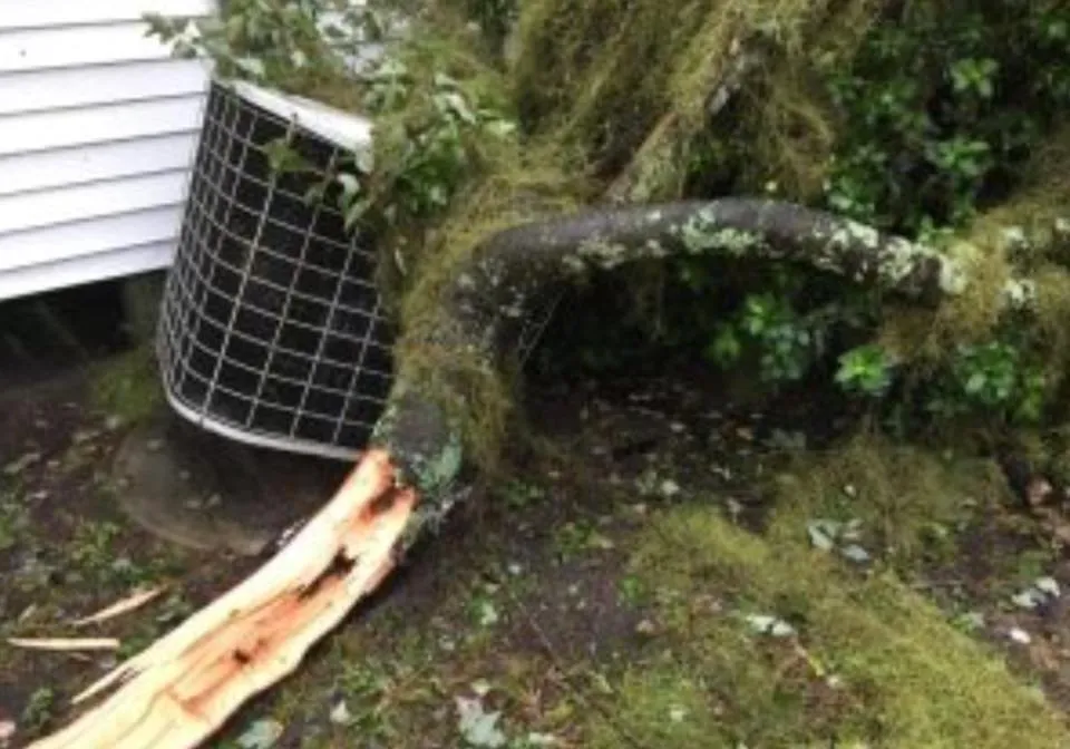 Slide of Advanced Air Services