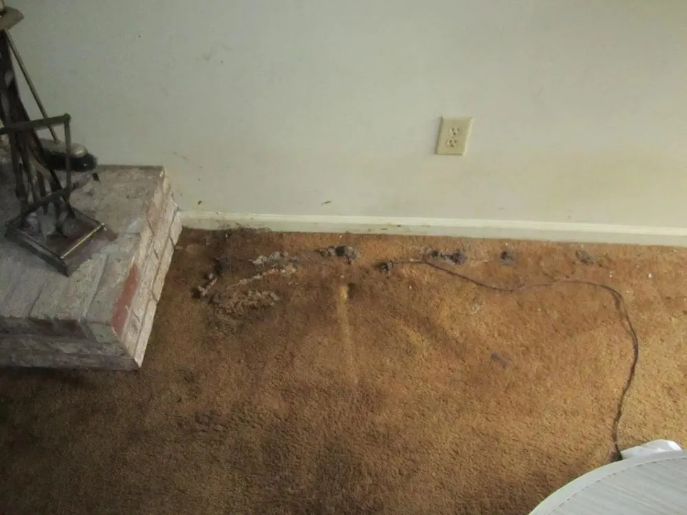 Slide of Advanced Cleaning & Restoration