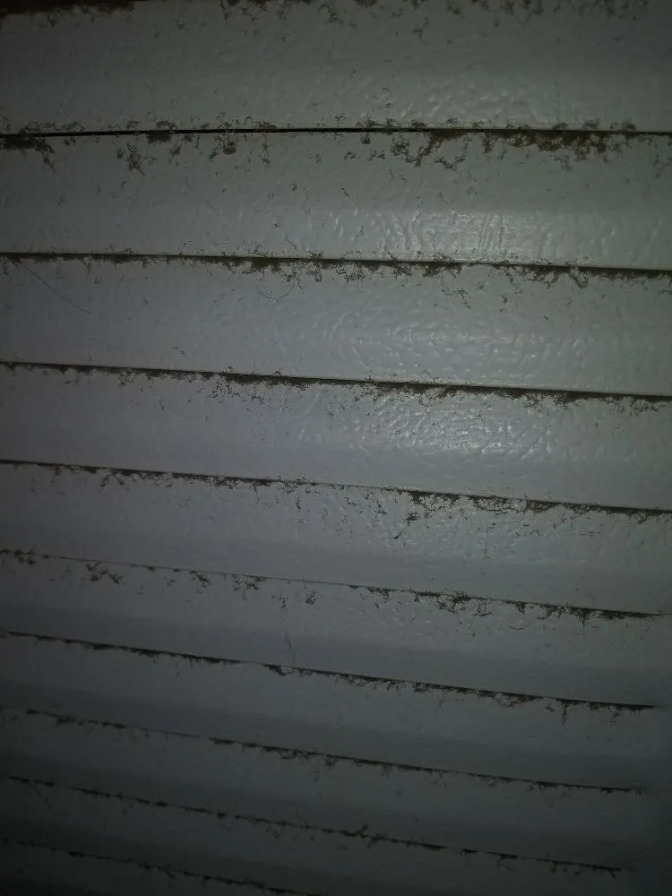 Slide of Advanced Cleaning of Brevard