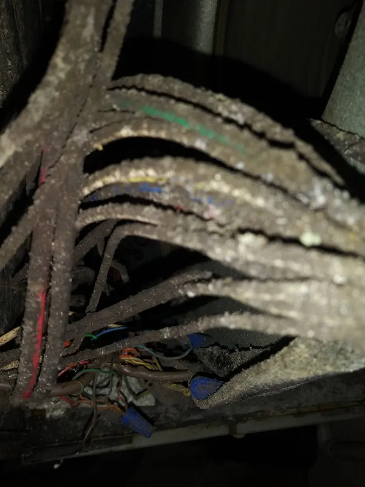 Slide of Advanced Cleaning of Brevard