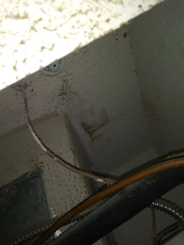 Slide of Advanced Cleaning of Brevard