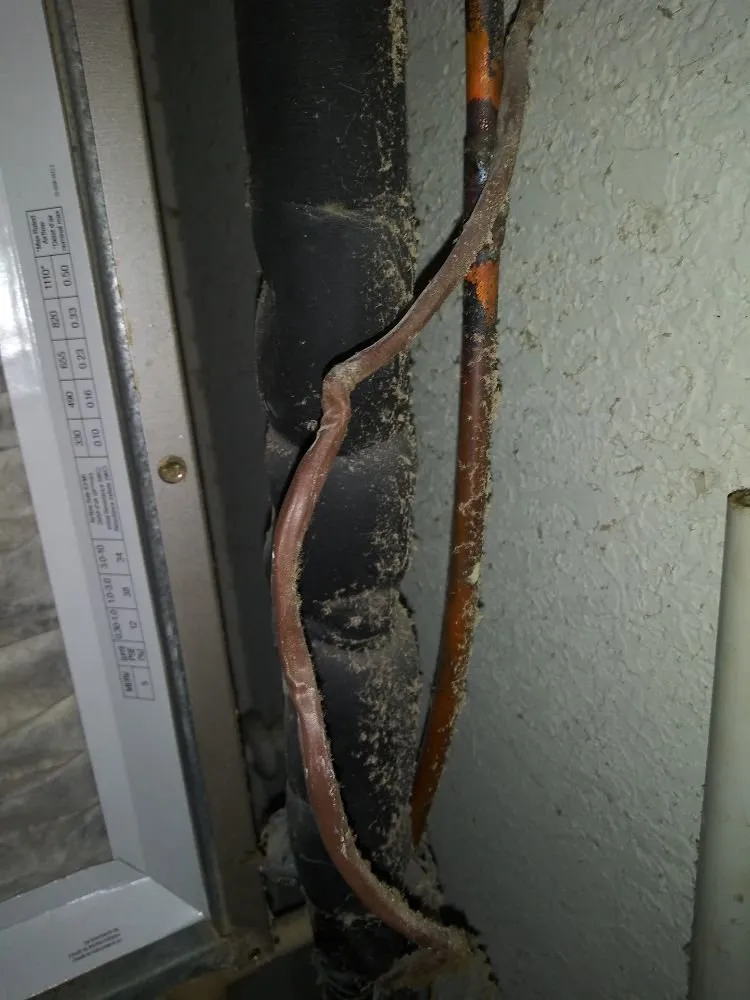 Slide of Advanced Cleaning of Brevard