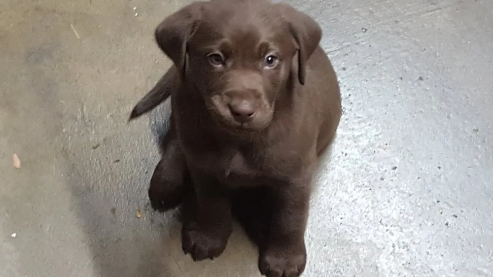 Slide of Advanced Comfort Air Solutions