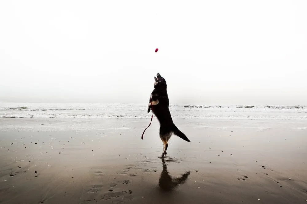 Slide of Advanced Home Services