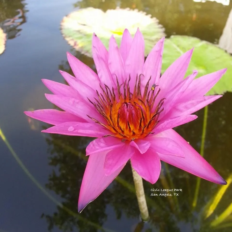 Slide of Advanced Service Group