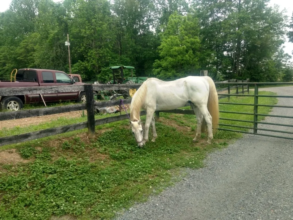 Slide of Advanced Service