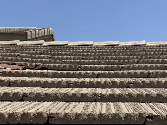 Advantage Life Property Service Logo