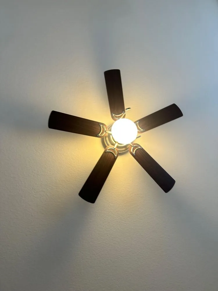 Slide of AFB Repairs