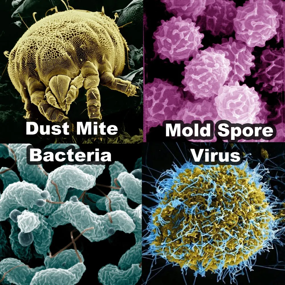 Slide of Affordable Comfort