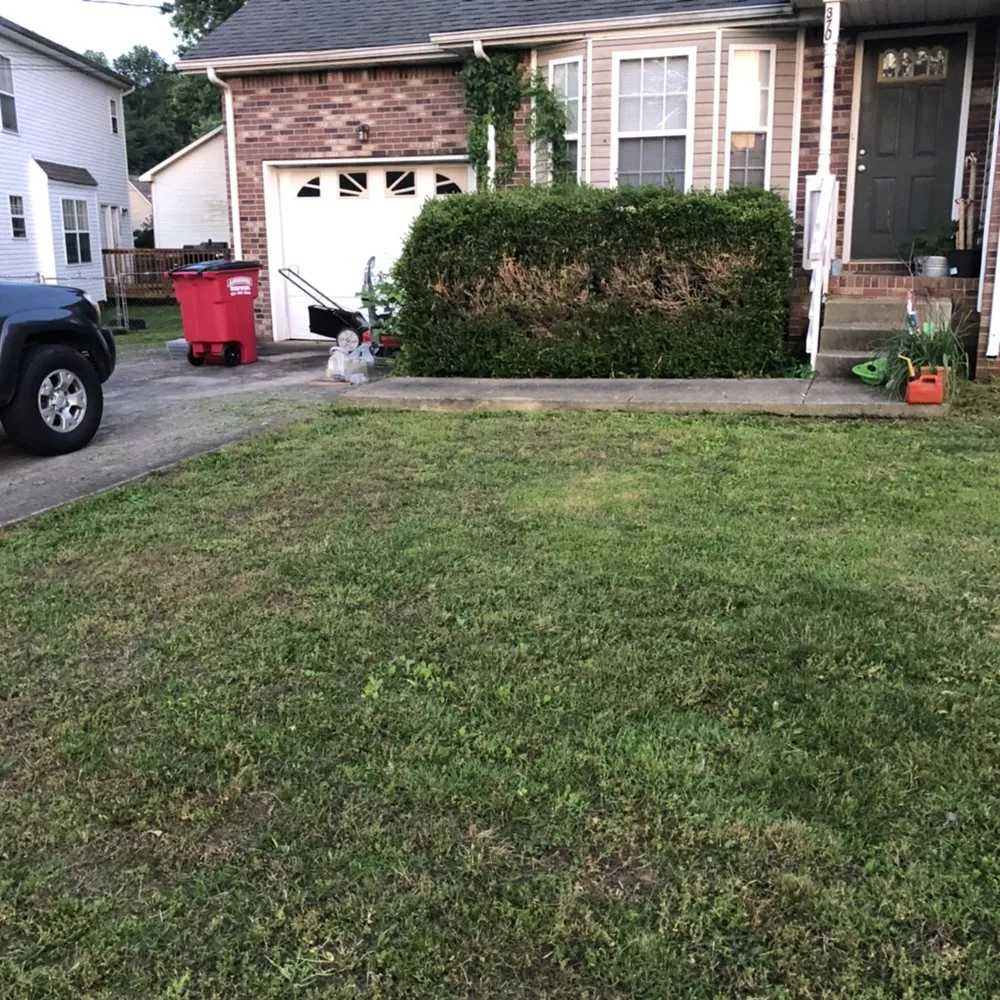 Slide of Affordable Lawn Care