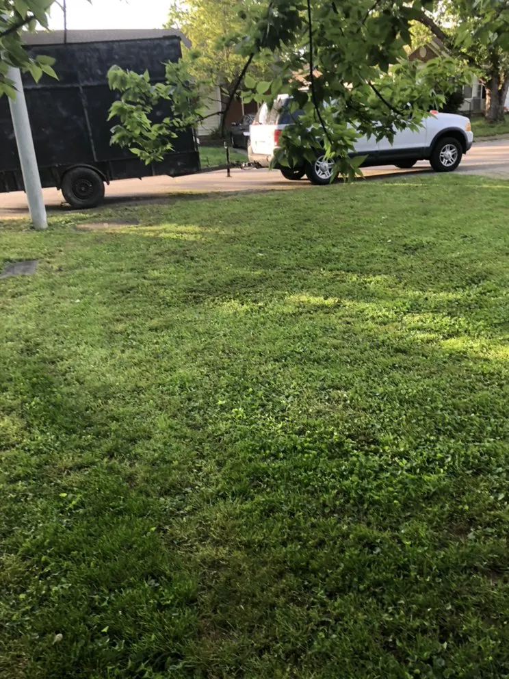 Slide of Affordable Lawn Care