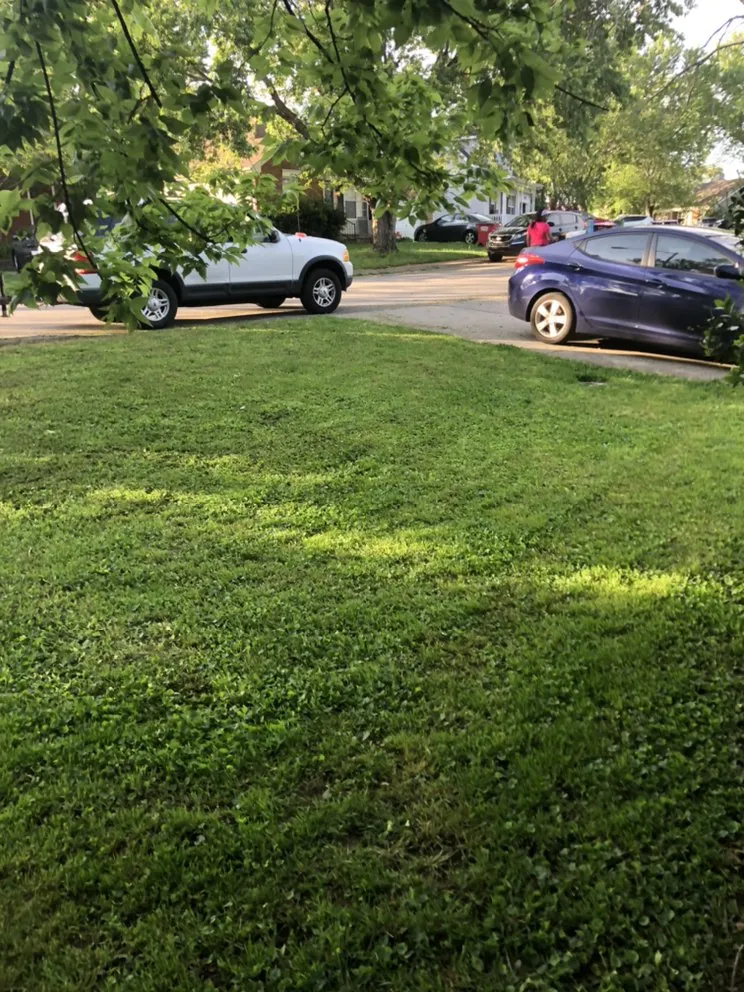 Slide of Affordable Lawn Care