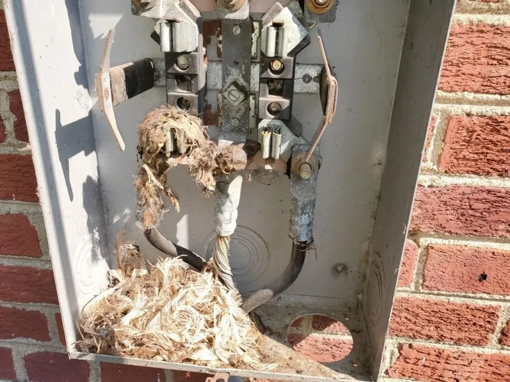 Slide of AG Services