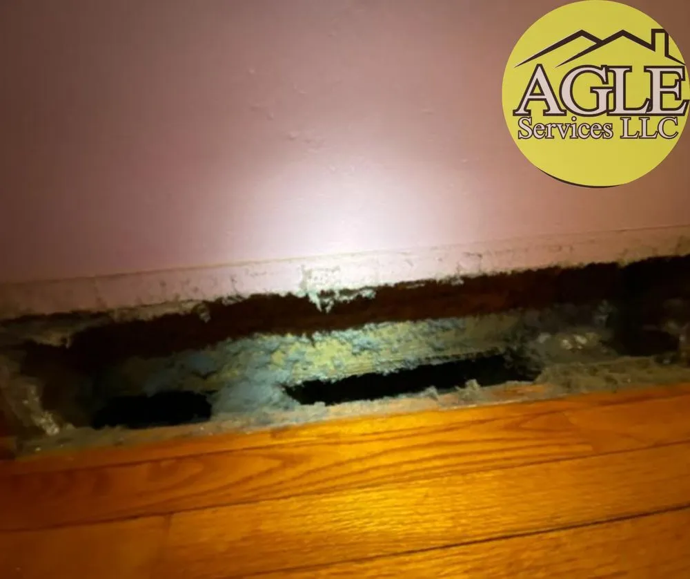 Slide of AGLE Services