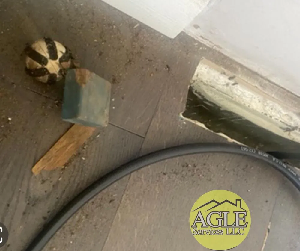 Slide of AGLE Services