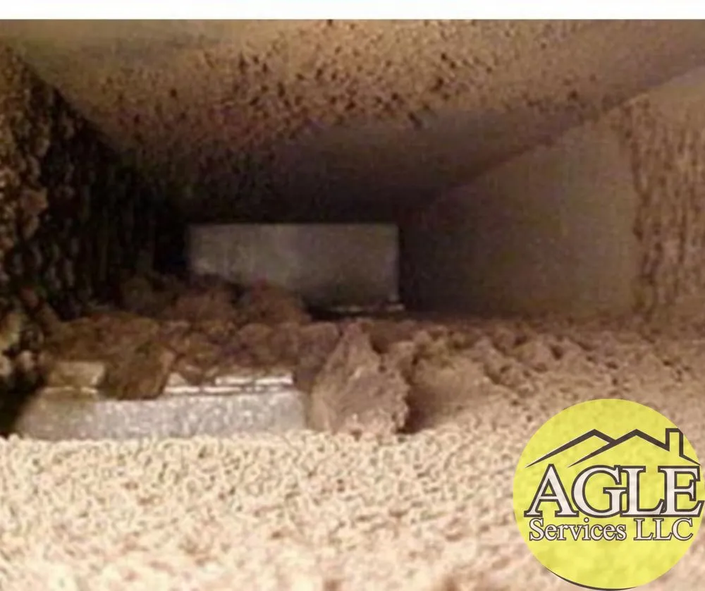 Slide of AGLE Services