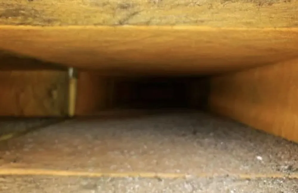 Slide of Aim To Please