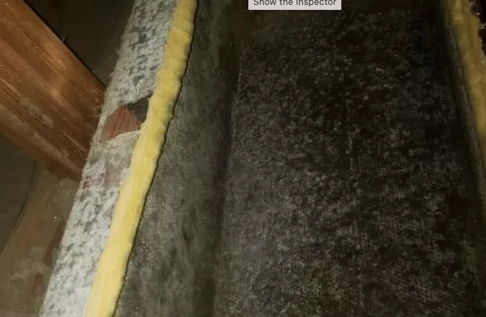 Slide of Aim To Please