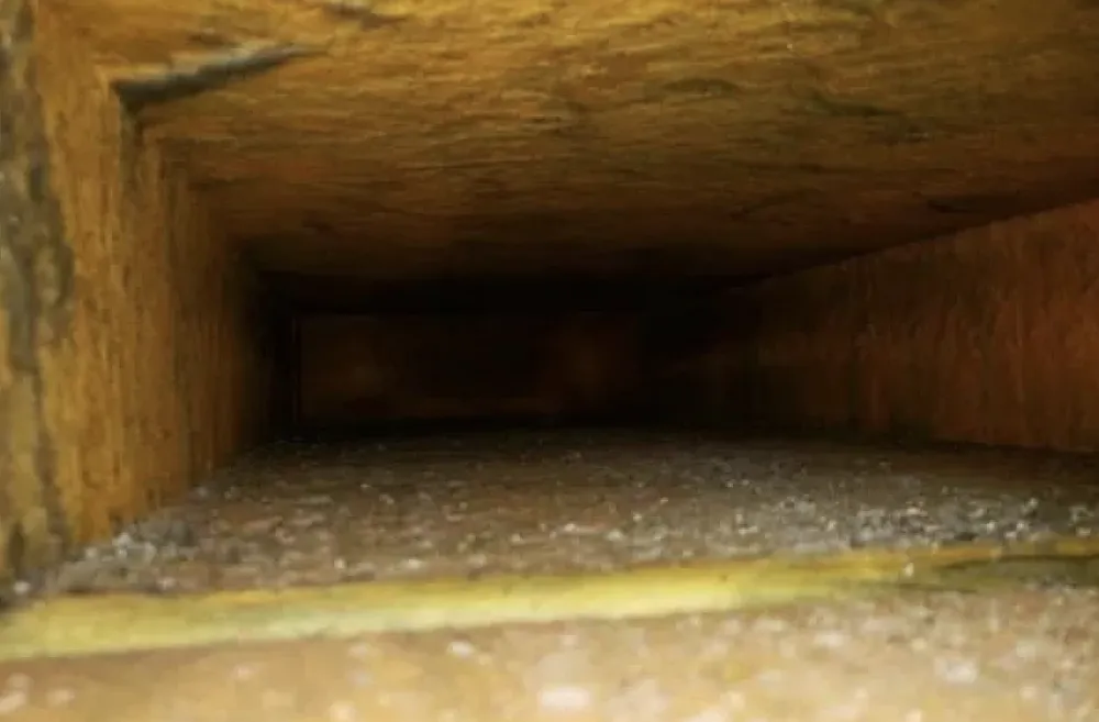 Slide of Aim To Please