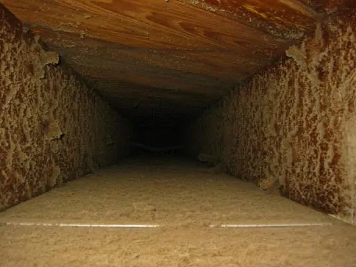 Slide of Aim To Please