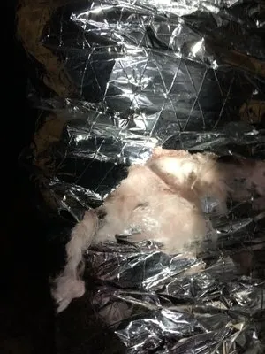 Air America AC Com Logo