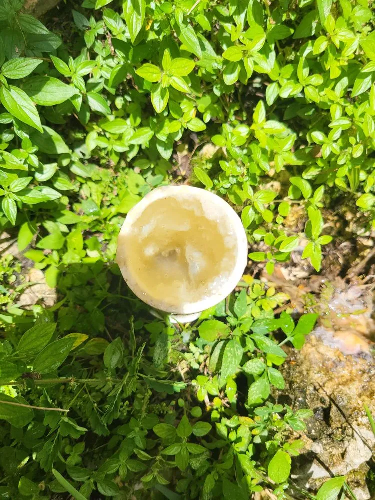 Slide of Air America Mechanical Contractors