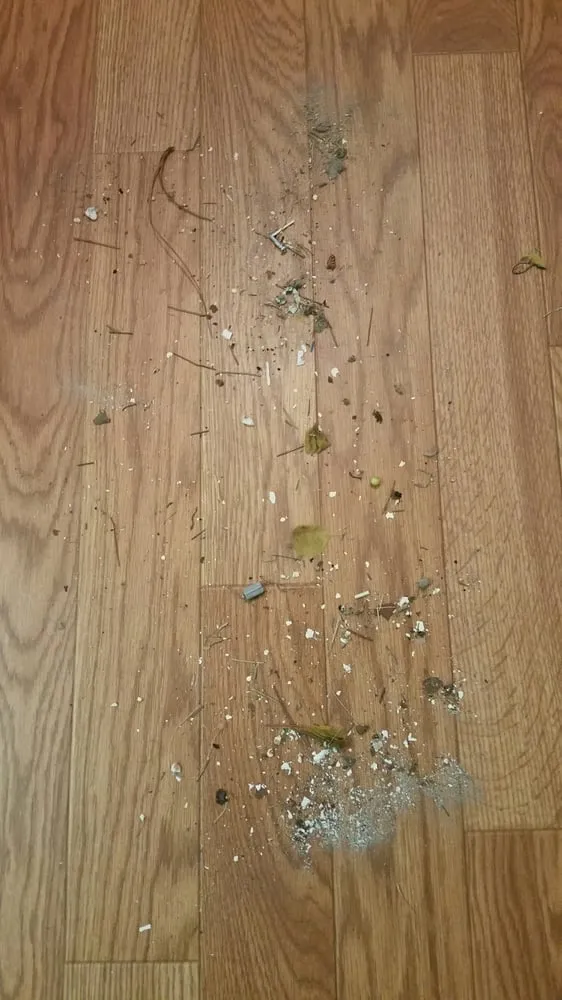 Slide of Air Assault Air Conditioning & Heating