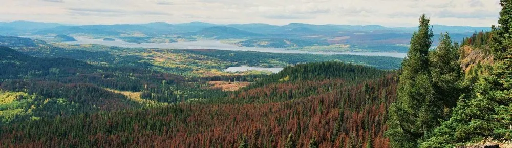 Slide of Air Comfort Complete