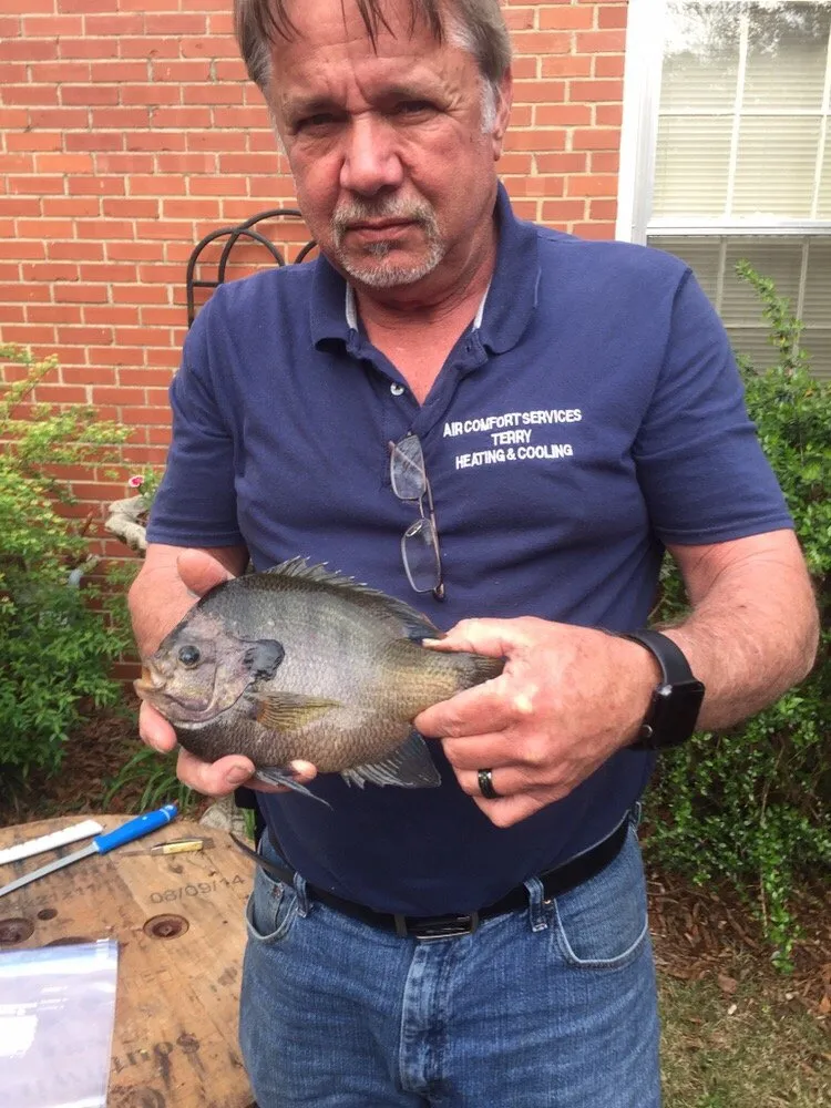 Slide of Air comfort services